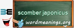 WordMeaning blackboard for scomber japonicus